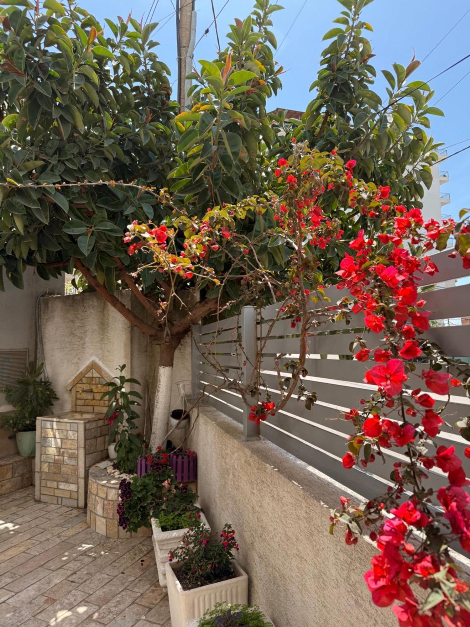 Apartments & Studios Ardian-Mandi Sarande-Albania Exterior photo
